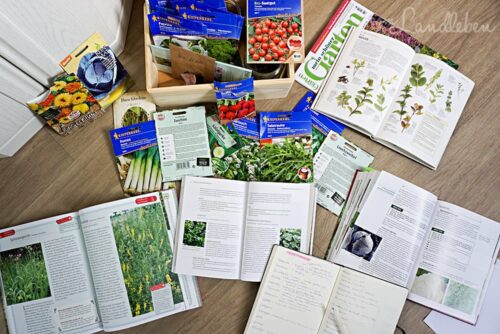 Nutzgarten-Planung 2018