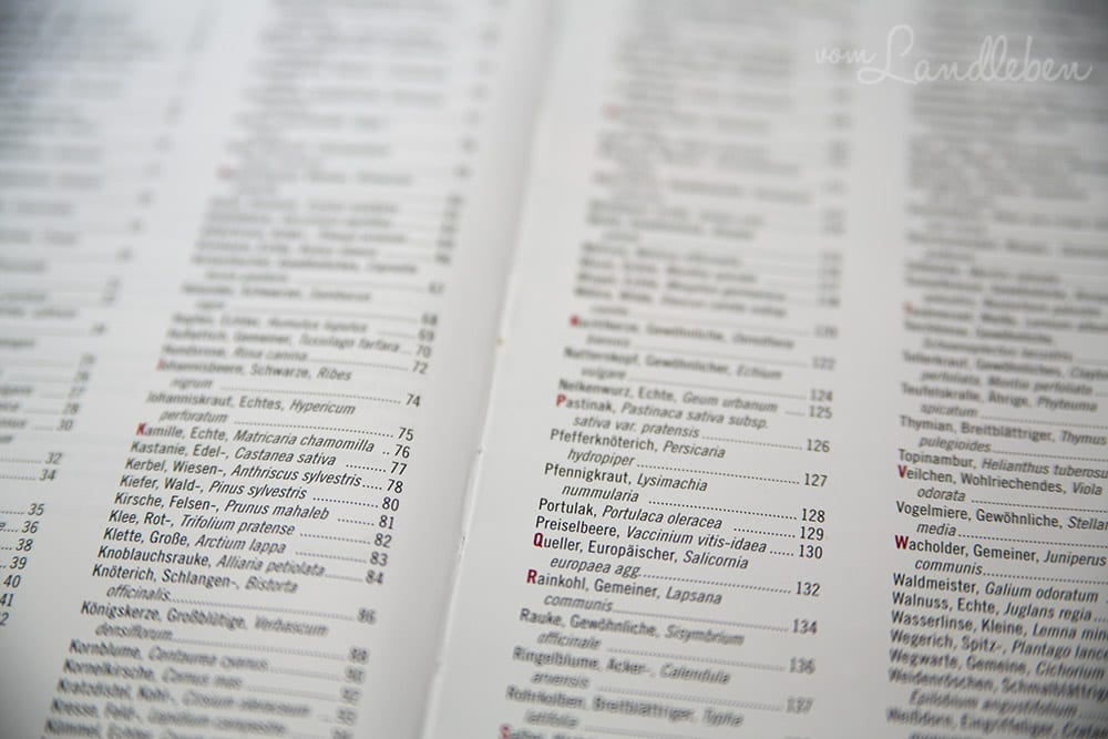 Rezension: Essbare Kräuter & Wildpflanzen – Larena Lambert