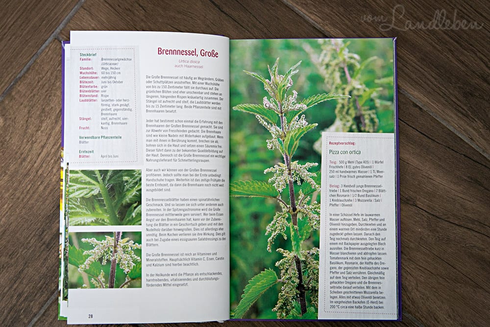 Rezension: Essbare Kräuter & Wildpflanzen – Larena Lambert