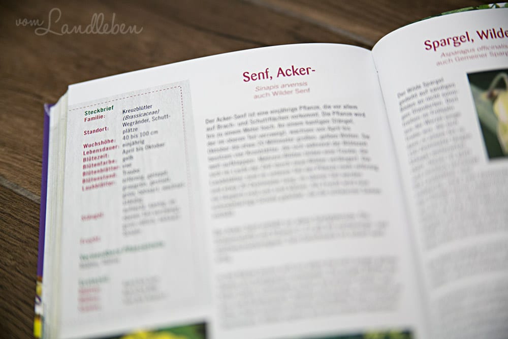 Rezension: Essbare Kräuter & Wildpflanzen – Larena Lambert