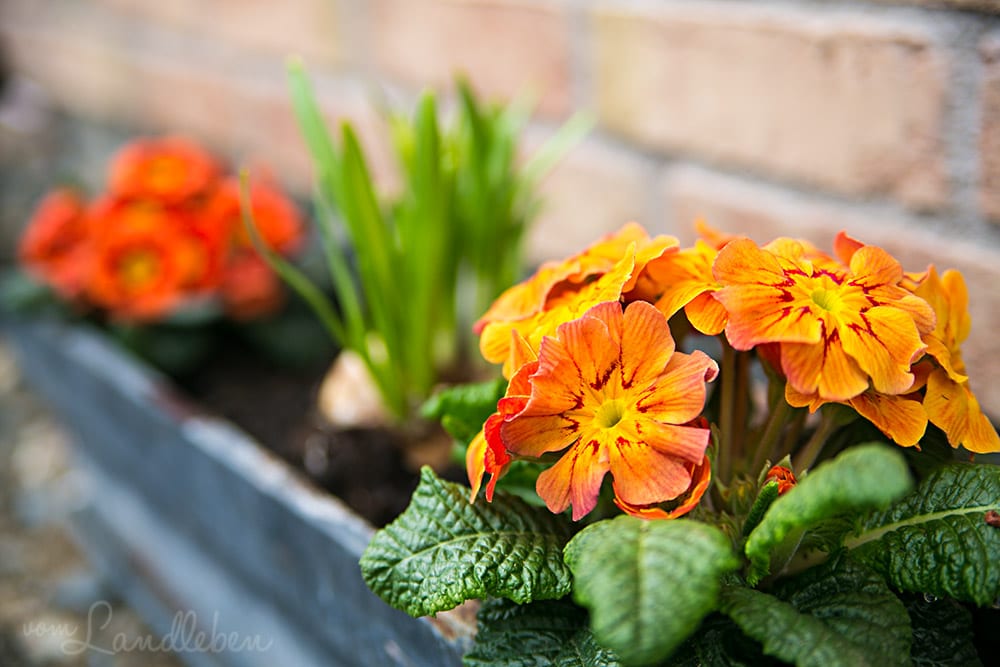 Unser Garten im März 2018