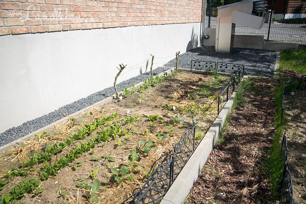 Gemüsegarten im April 2018