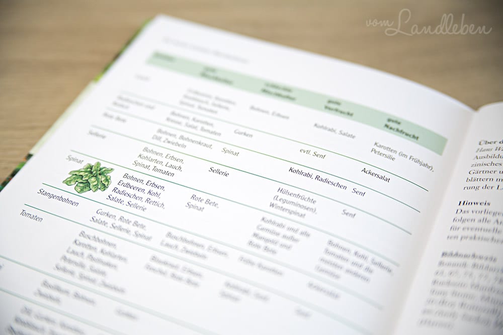 Rezension: Erfolgreich gärtnern durch Mischkultur – Hans Wagner