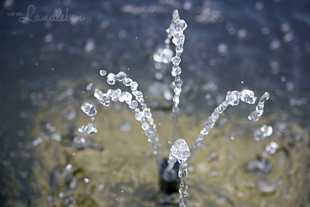 Springbrunnen in unserem Teich