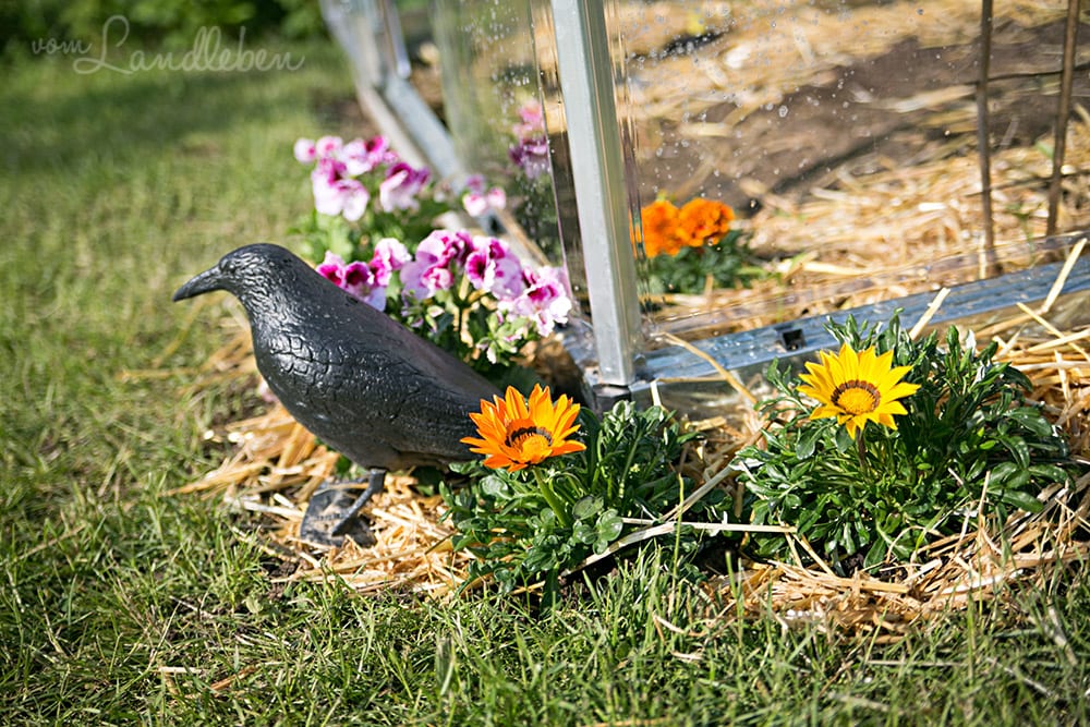 Beet am Gewächshaus