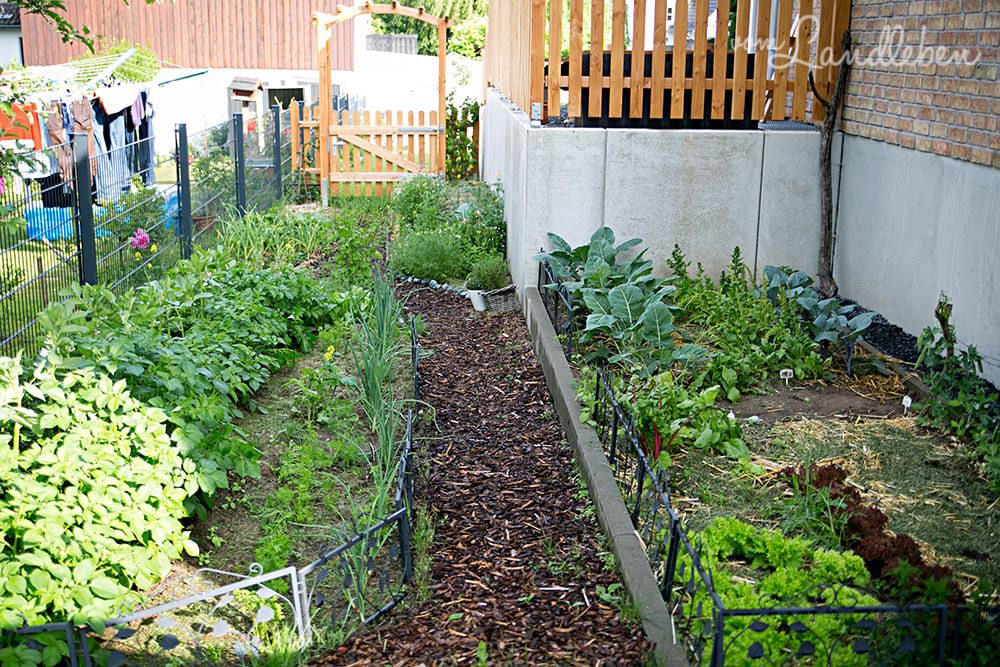 Gemüsegarten im Mai 2018