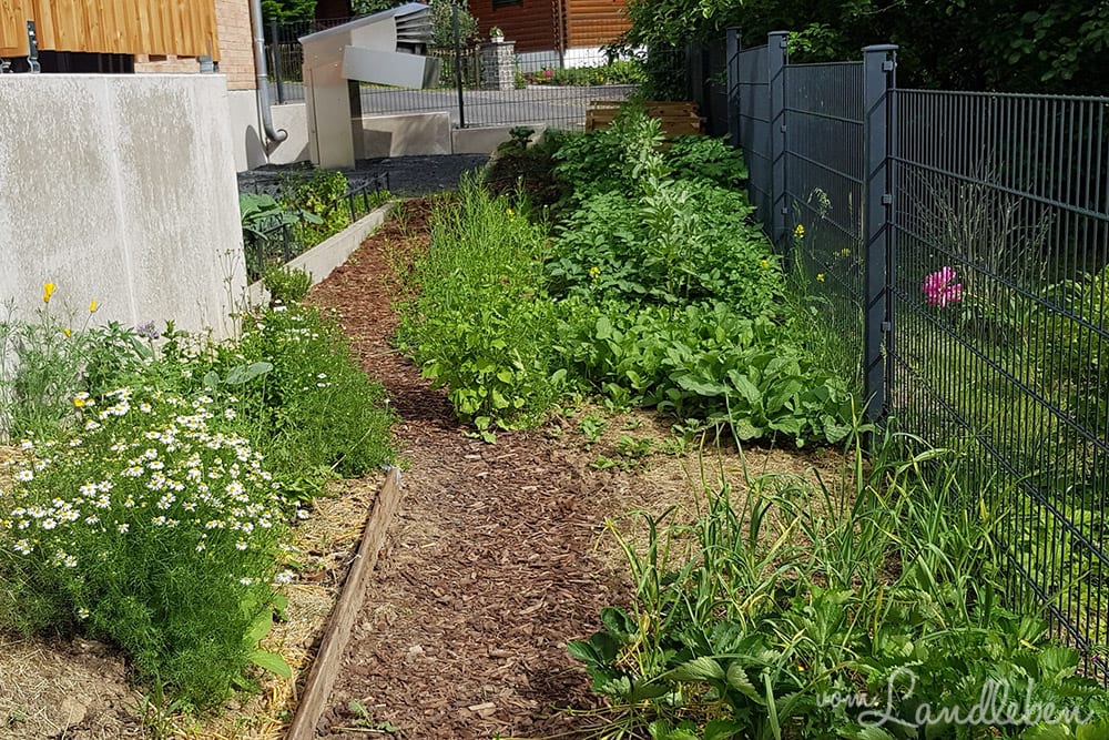 Gemüsegarten im Mai 2018