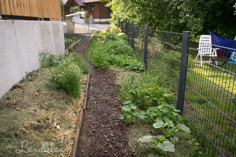 Gemüsegarten im Mai 2018