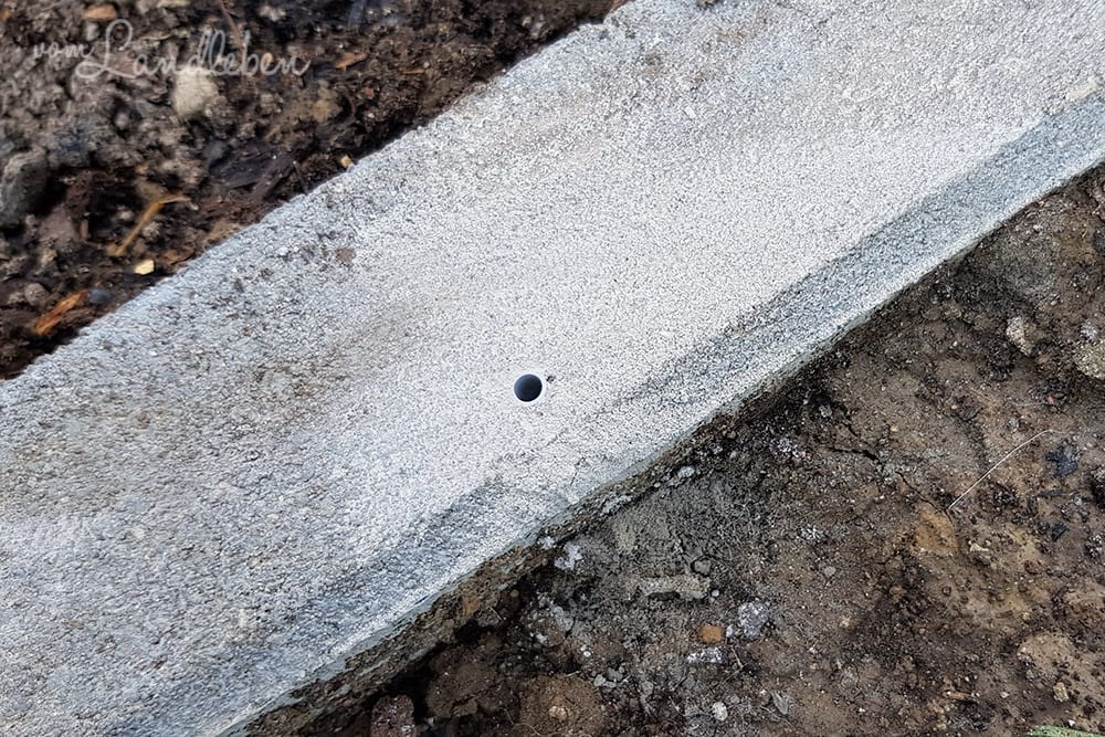 Gewächshaus aufbauen