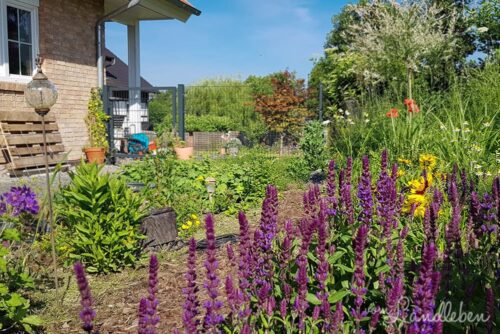 Mittelgarten im Mai 2018