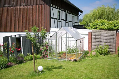 Gewächshaus im Juni 2018