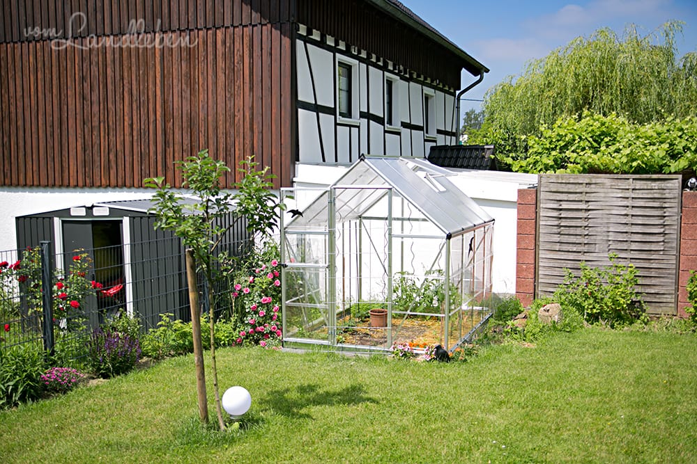 Gewächshaus im Juni 2018