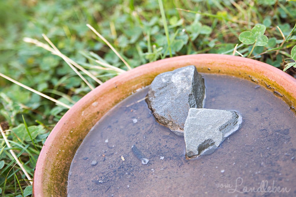 Insektentränke aus einem Untersetzer