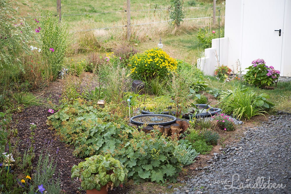 Mittelgarten im Juli 2018