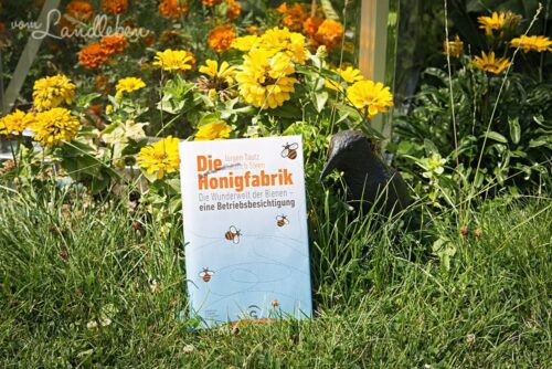 Rezension: Die Honigfabrik