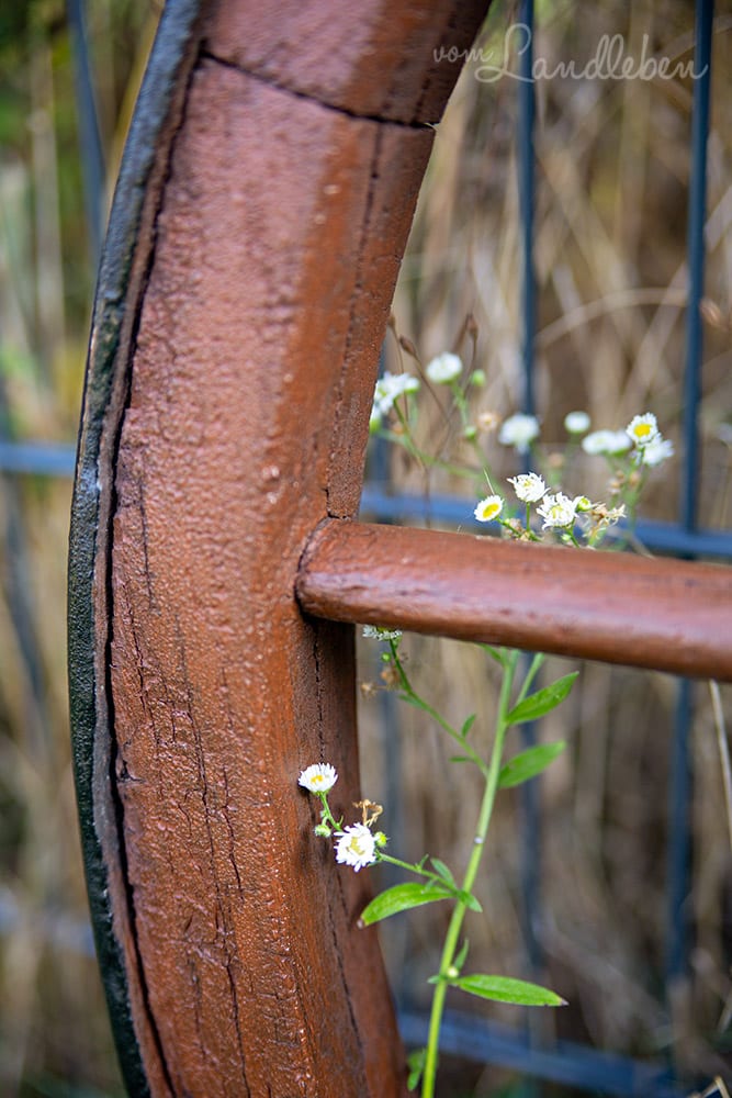 Wildblumen am alten Wagenrad