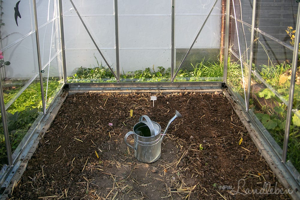 Wintersaison im Gewächshaus