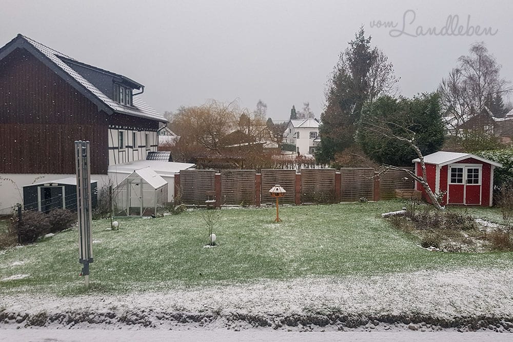 Unser Garten im Dezember 2018