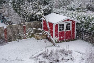 Garten im Januar 2019