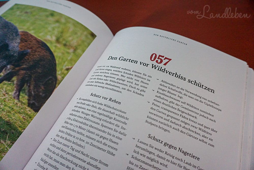 Rezension: Raus aufs Land - Niklas Kämpargard