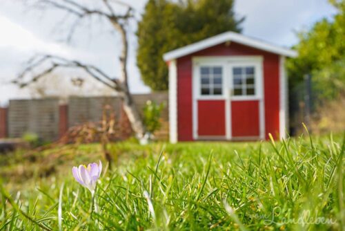 Garten im Februar 2019