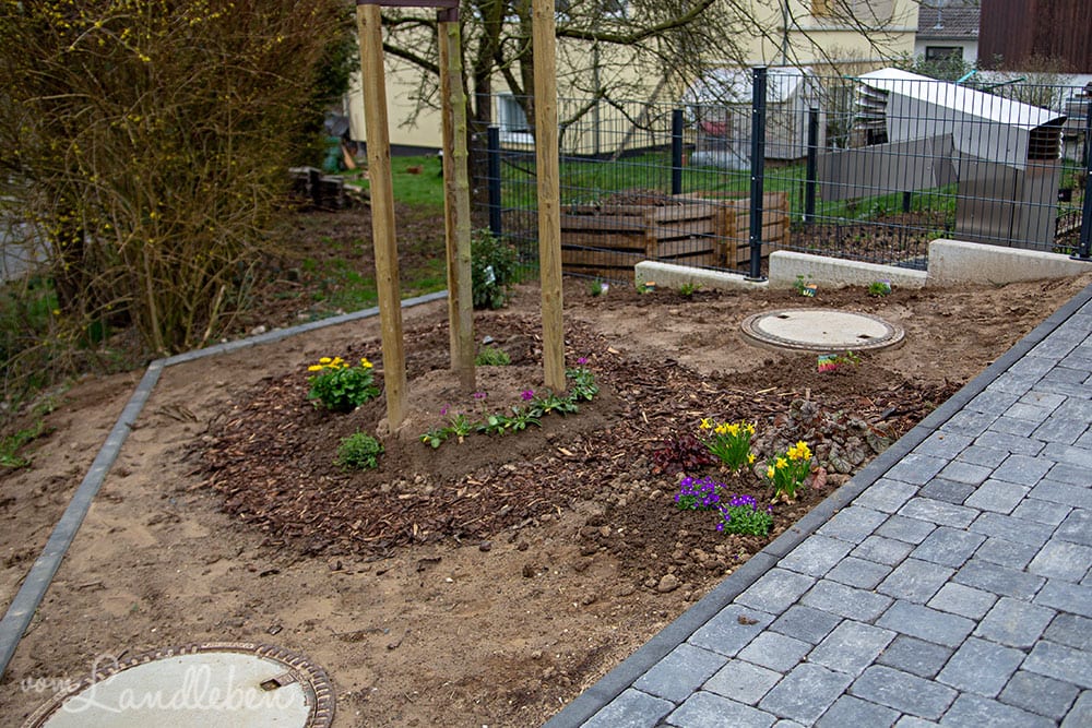 Vorgarten im März 2019