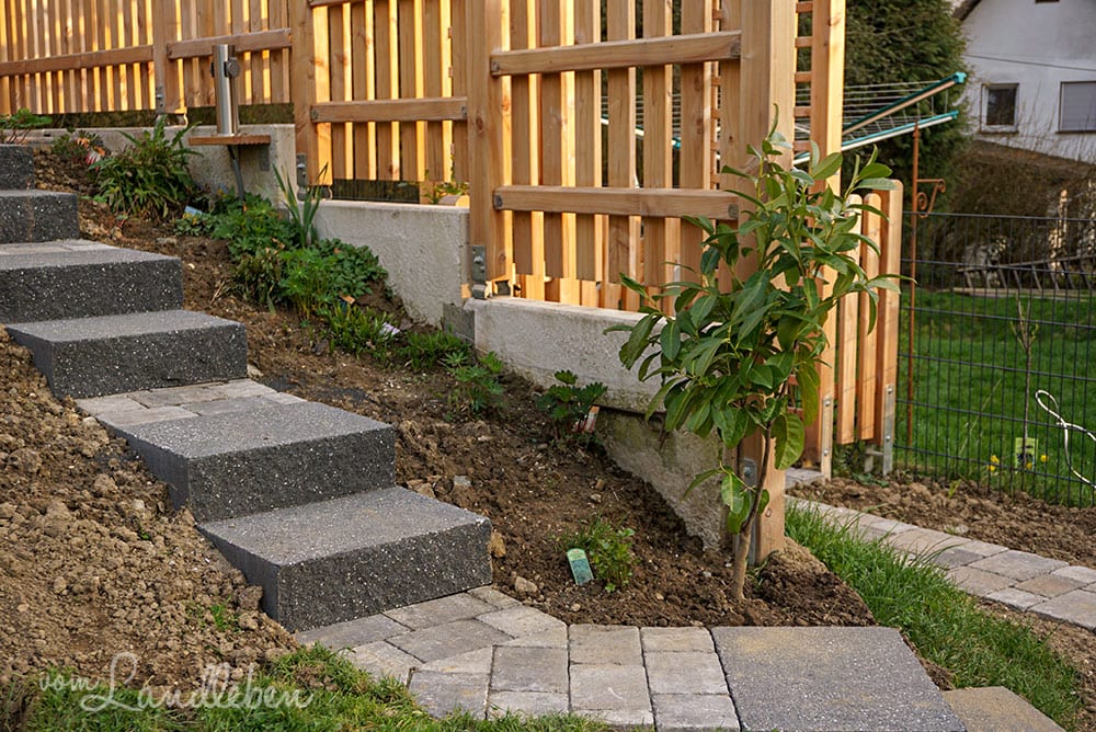 Hinten im Garten im März 2019