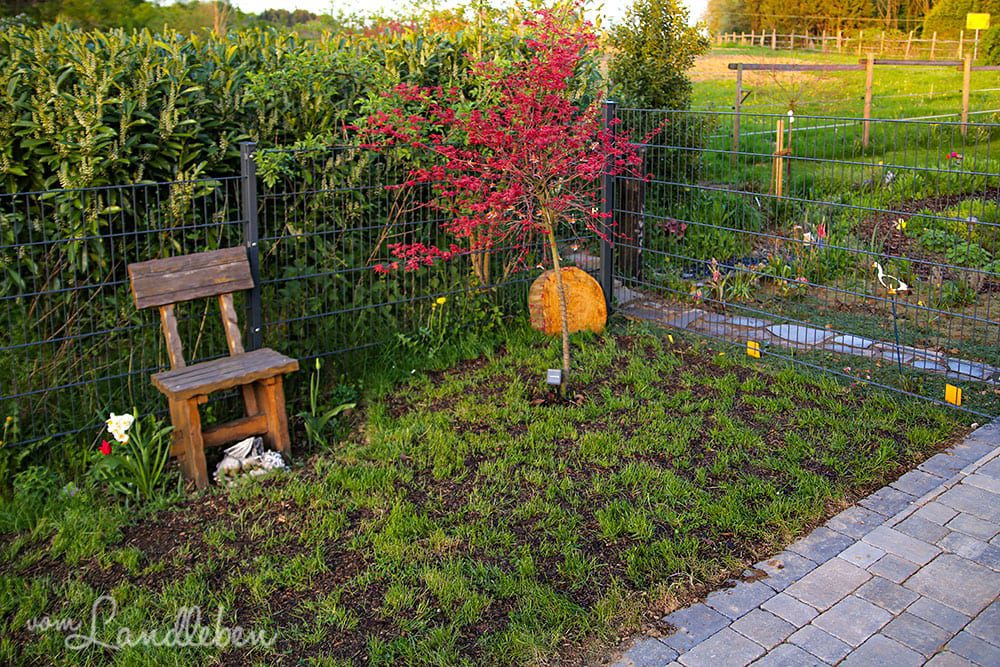 Gartenguckloch im April 2019