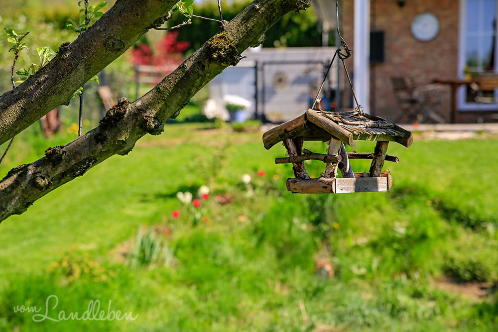 Gartenguckloch im April 2019
