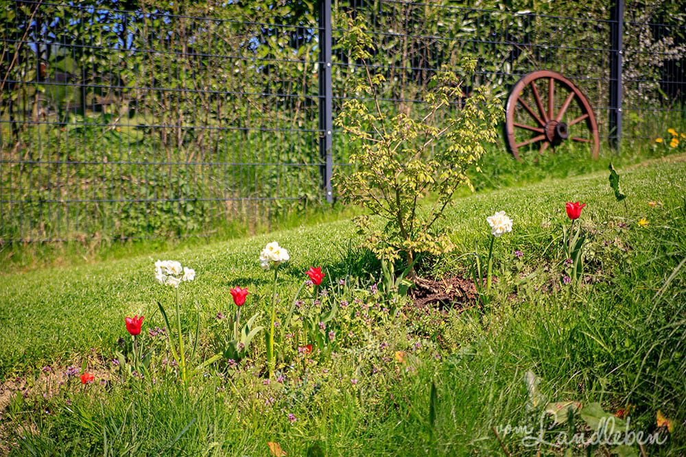Gartenguckloch im April 2019