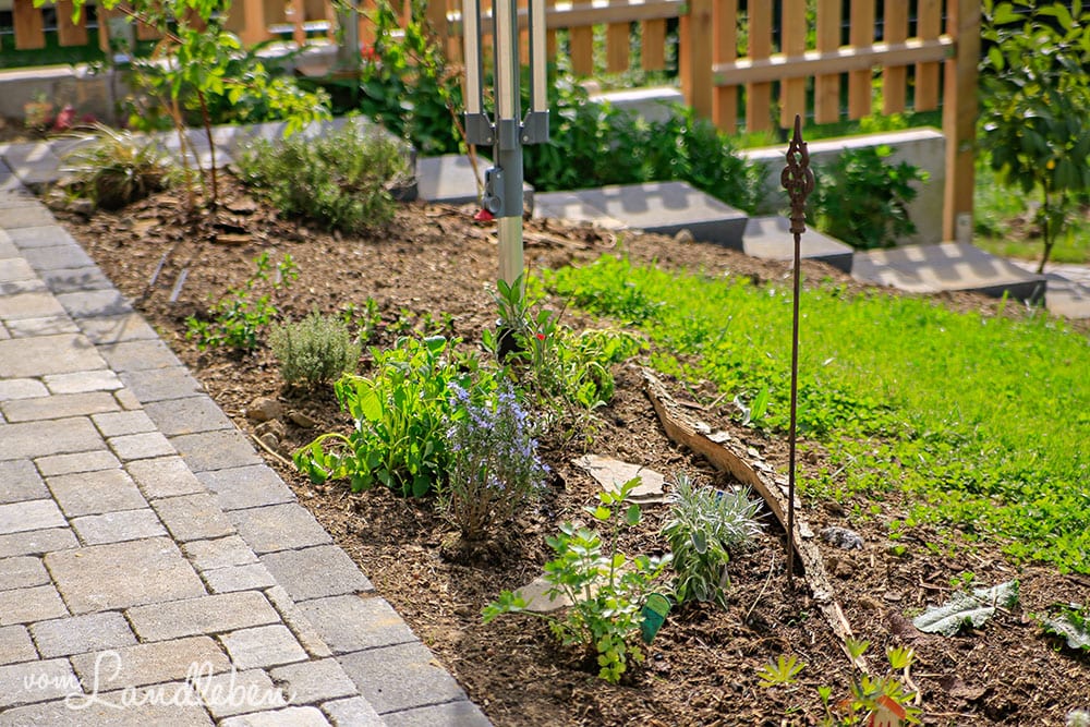 Kräuterbeet im April 2019