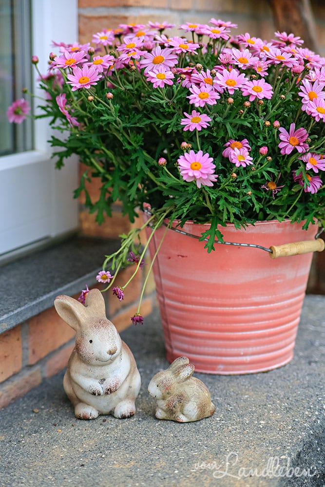 Margheriten und Osterhasen