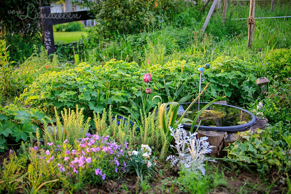 Mittelgarten im Mai 2019