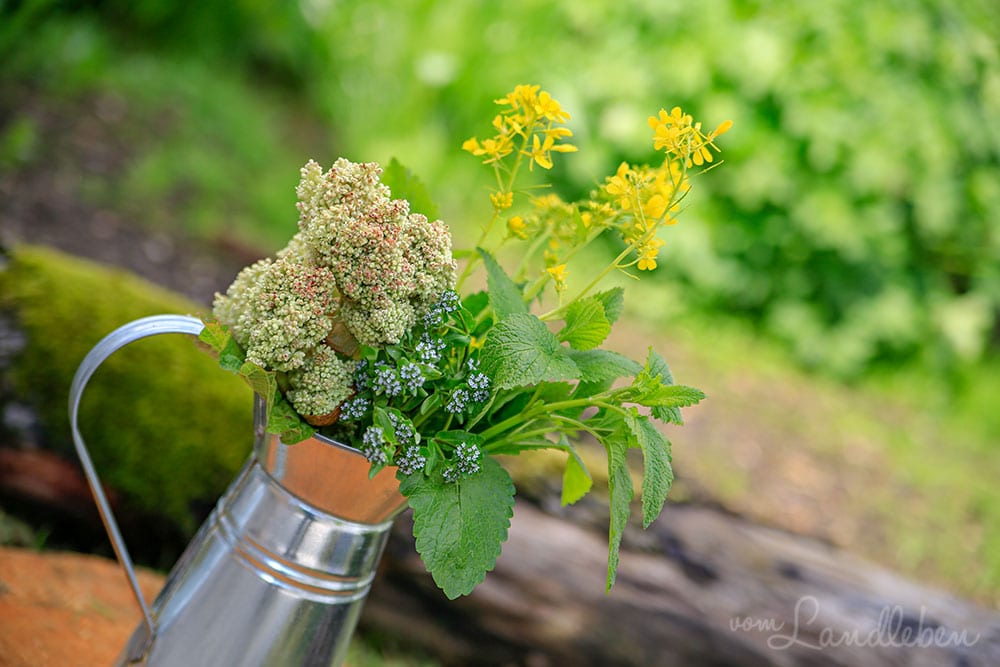 Blumenvase im Garten
