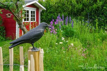Garten im Mai 2019