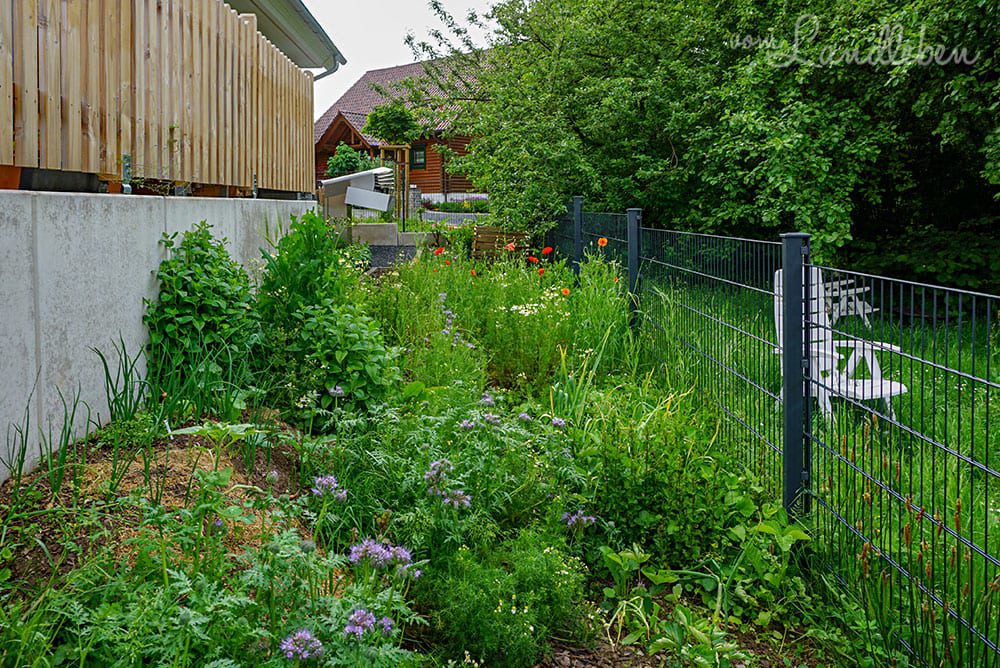 Gemüsegarten im Mai 2019