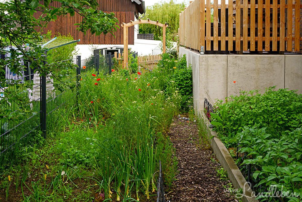 Gemüsegarten im Mai 2019
