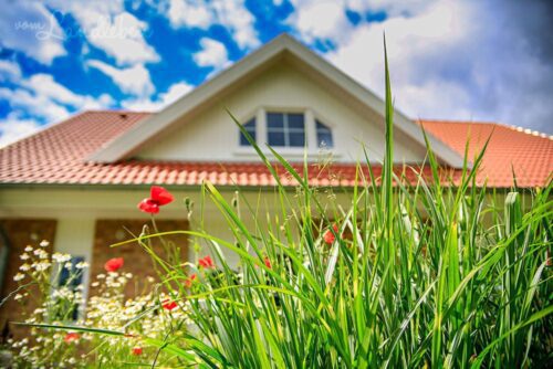 Mittelgarten im Juni 2029