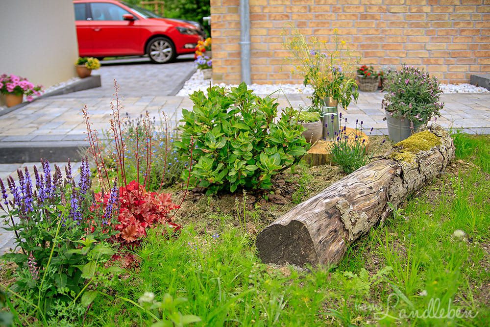 Mittelgarten im Mai 2019