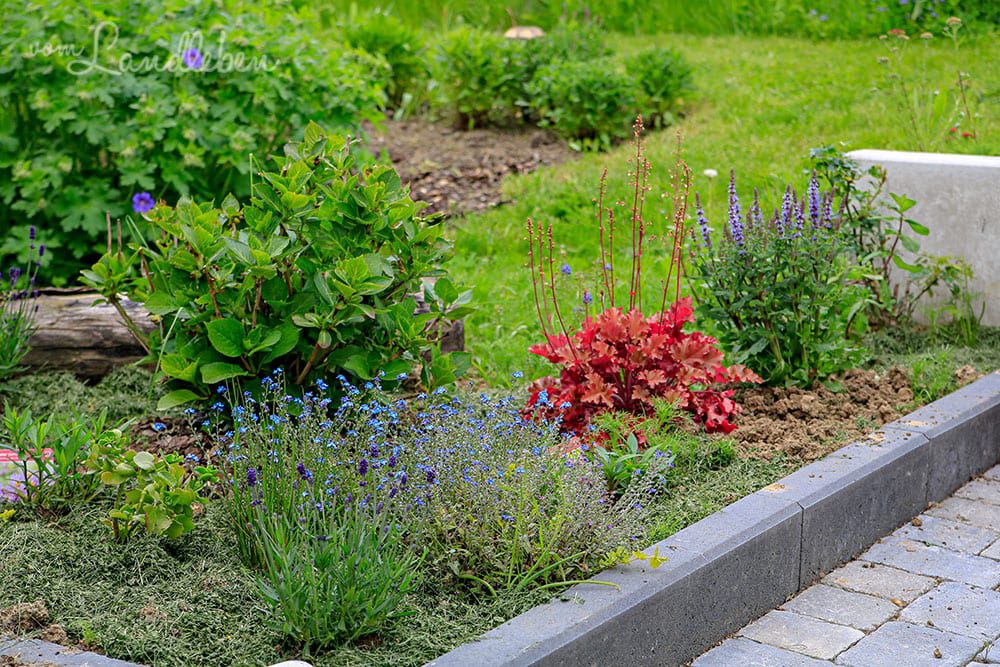 Mittelgarten im Mai 2019