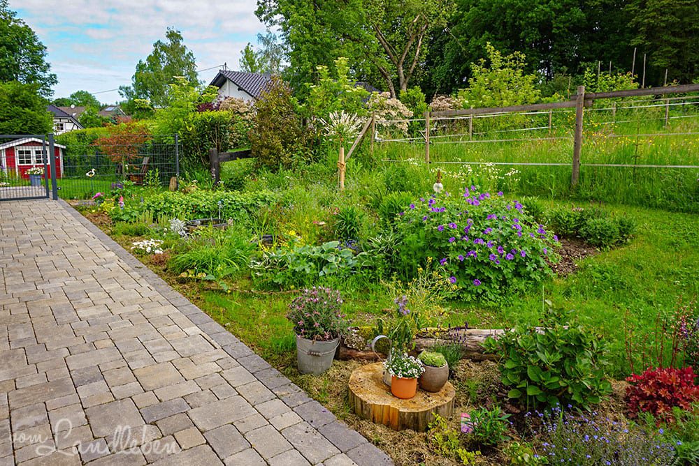 Mittelgarten im Mai 2019