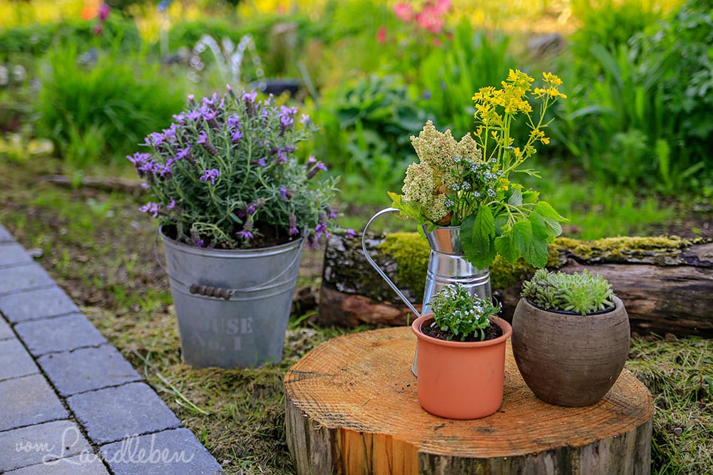 Mittelgarten im Mai 2019