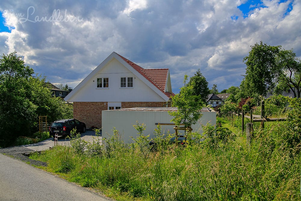 Vorgarten im Juni 2019