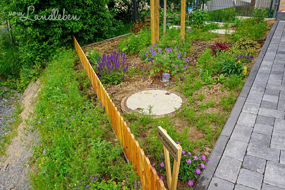 Vorgarten im Mai 2019