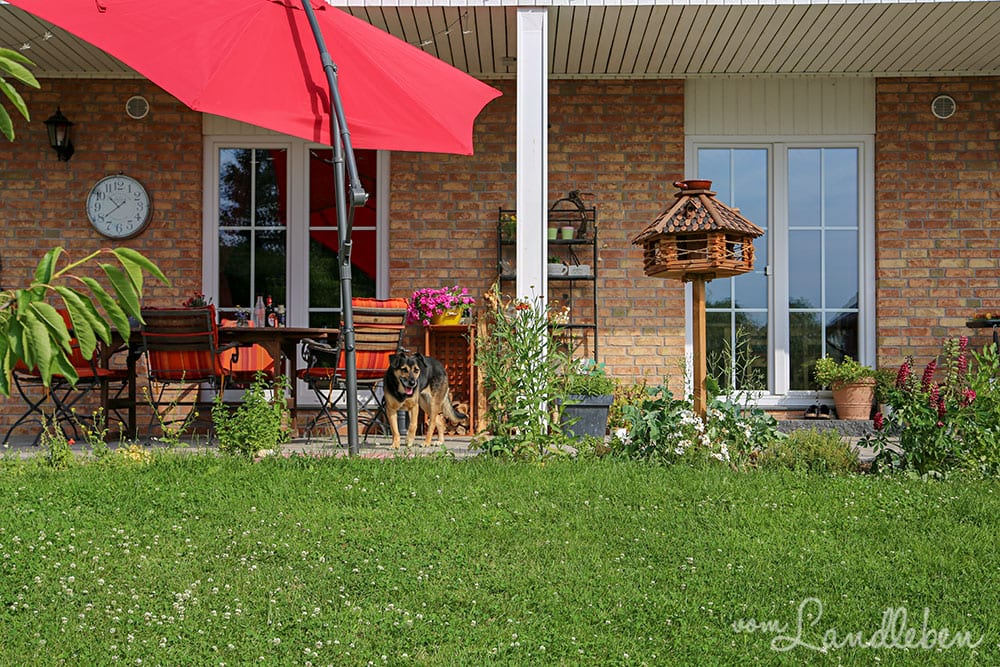 Unser Danhaus - Terrasse im Juli 2019