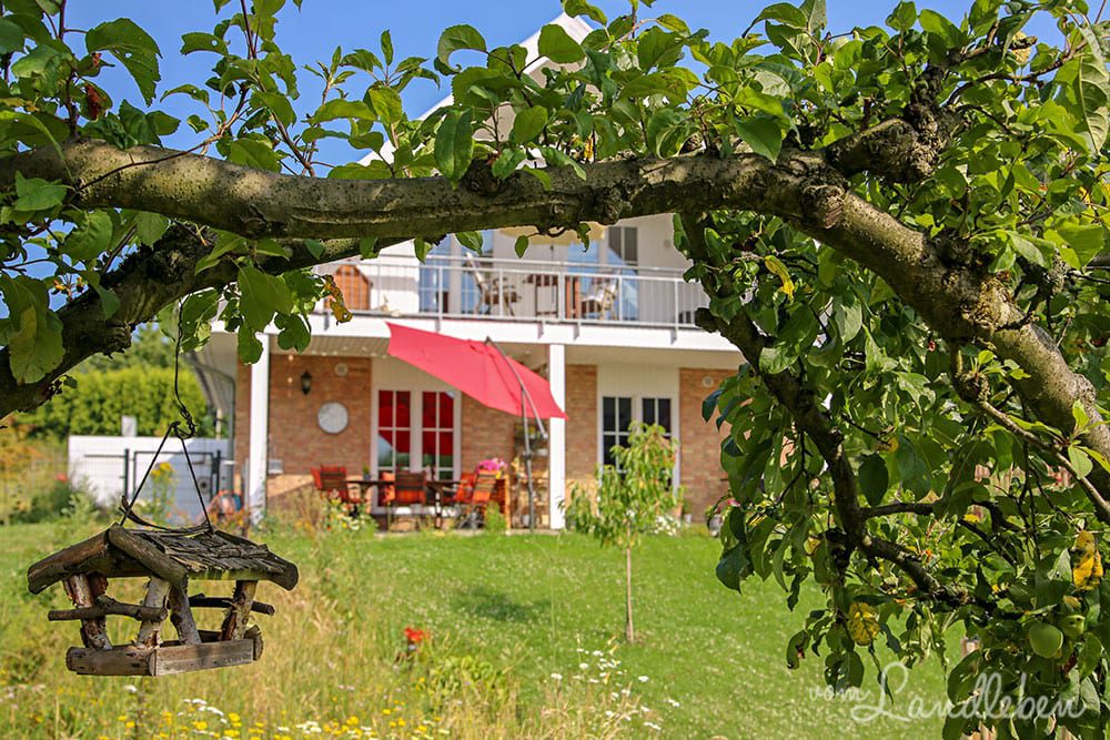 Unser Danhaus - Terrasse im Juli 2019