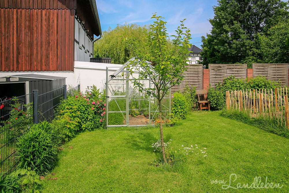 Garten im Juni 2019