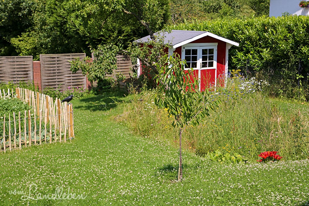 Garten im Juni 2019