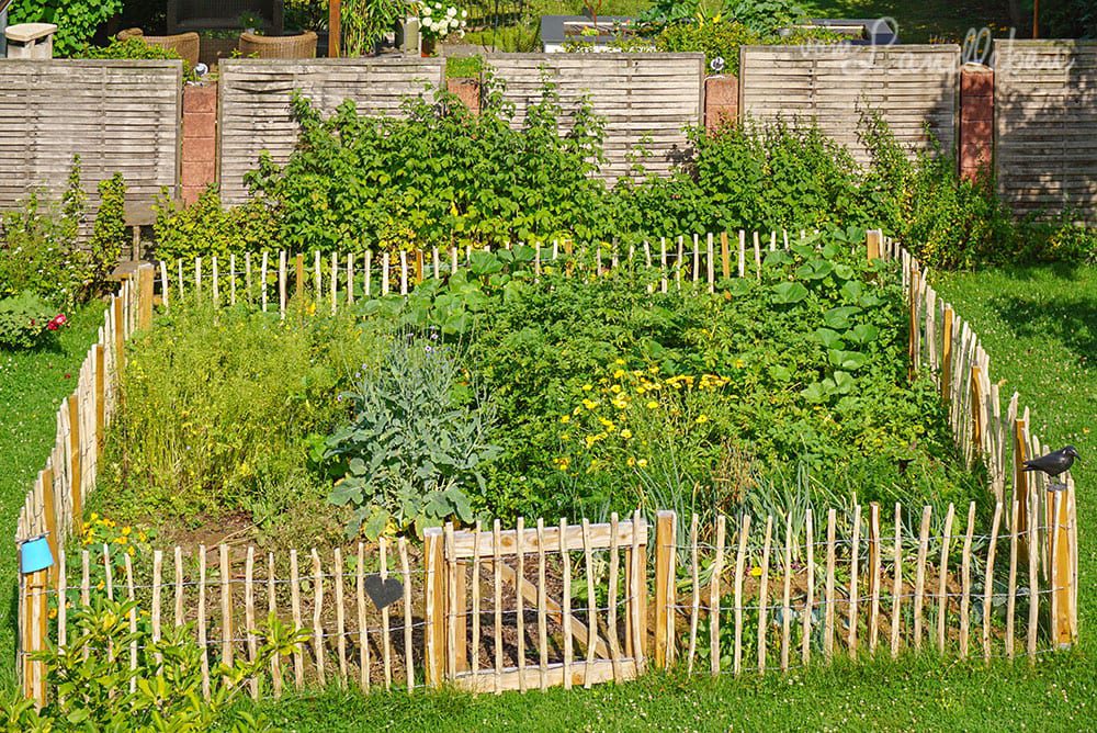 Bauerngarten im Juli 2019