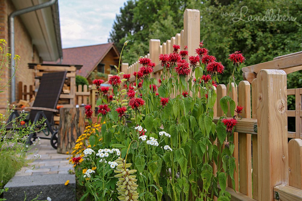 Treppe in den Garten im Juli 2019